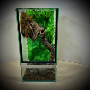 Terrarium szklane z leśnym wystrojem 20x20x40 cm.